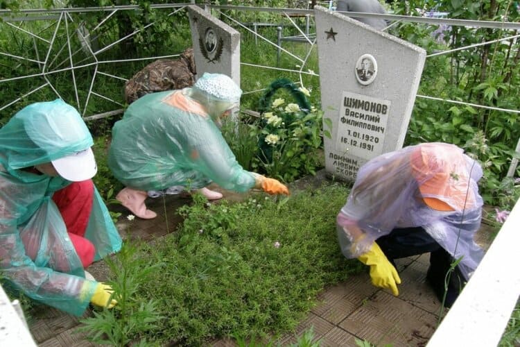 Какие растения выбрать для озеленения могилы?